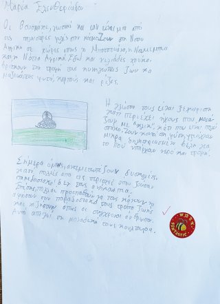 Αυτόχθονες λαοί