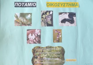 Οικοσυστήματα της Κύπρου