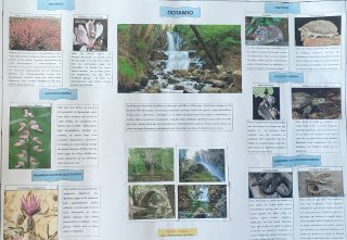 Οικοσυστήματα της Κύπρου