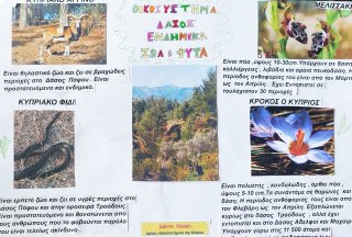 Οικοσυστήματα της Κύπρου