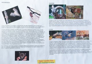 Οικοσυστήματα της Κύπρου