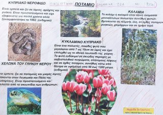 Οικοσυστήματα της Κύπρου