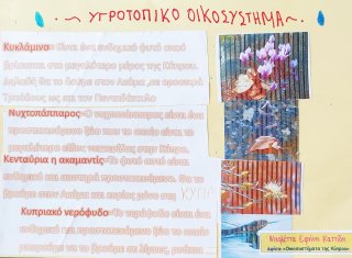 Οικοσυστήματα της Κύπρου