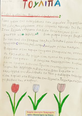 Οικοσυστήματα της Κύπρου