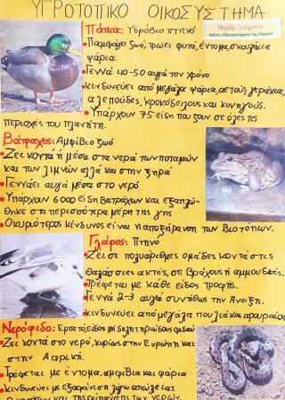 Οικοσυστήματα της Κύπρου