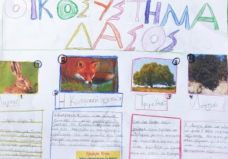 Οικοσυστήματα της Κύπρου