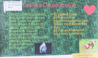 Οικοσυστήματα της Κύπρου