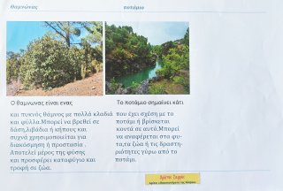 Οικοσυστήματα της Κύπρου