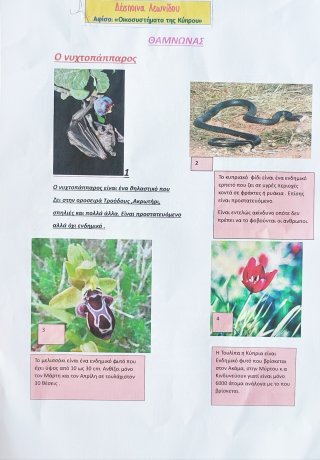 Οικοσυστήματα της Κύπρου