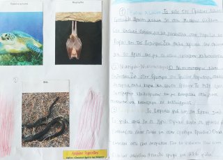 Οικοσυστήματα της Κύπρου