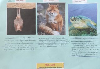 Οικοσυστήματα της Κύπρου