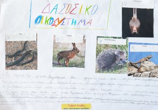 Οικοσυστήματα της Κύπρου