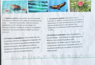 Οικοσυστήματα της Κύπρου