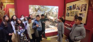 Εκπαιδευτική κατασκήνωση Προδρόμου Στ' τάξεις