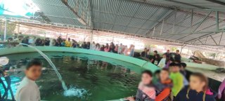 Εκπαιδευτική κατασκήνωση Προδρόμου Στ' τάξεις