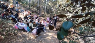 Εκπαιδευτική κατασκήνωση Προδρόμου Στ' τάξεις