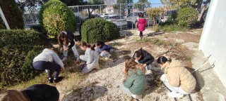 Εξωραϊσμός αυλής-κήπου 