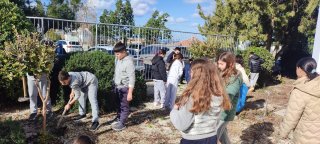 Εξωραϊσμός αυλής-κήπου 