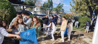 Εξωραϊσμός αυλής-κήπου 