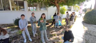 Εξωραϊσμός αυλής-κήπου 