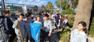 Εξωραϊσμός αυλής-κήπου 