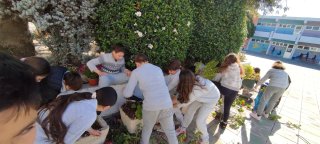 Εξωραϊσμός αυλής-κήπου 