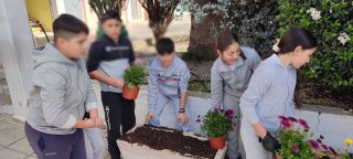 Εξωραϊσμός αυλής-κήπου 