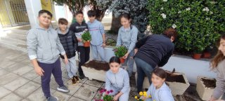 Εξωραϊσμός αυλής-κήπου 