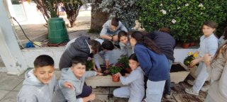 Εξωραϊσμός αυλής-κήπου 