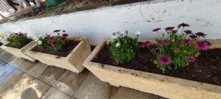 Εξωραϊσμός αυλής-κήπου 