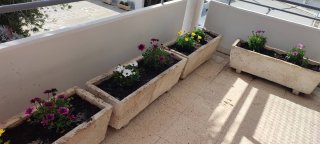 Εξωραϊσμός αυλής-κήπου 