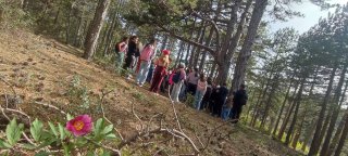 Κατασκήνωση Προδρόμου