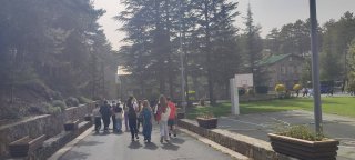 Κατασκήνωση Προδρόμου