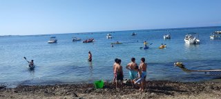 Ναυταθλήματα