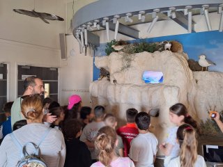 Εκπαιδευτική εκδρομή Δ'1-Δ'2 ΚΠΕ Ακρωτηρίου