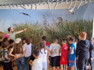 Εκπαιδευτική εκδρομή Δ'1-Δ'2 ΚΠΕ Ακρωτηρίου