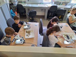 Εκπαιδευτική εκδρομή Δ'1-Δ'2 ΚΠΕ Ακρωτηρίου