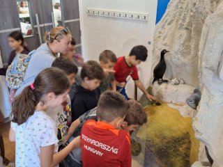 Εκπαιδευτική εκδρομή Δ'1-Δ'2 ΚΠΕ Ακρωτηρίου