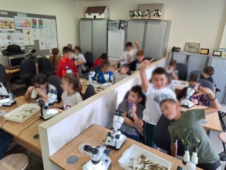 Εκπαιδευτική εκδρομή Δ'1-Δ'2 ΚΠΕ Ακρωτηρίου