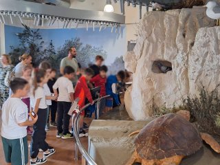 Εκπαιδευτική εκδρομή Δ'1-Δ'2 ΚΠΕ Ακρωτηρίου